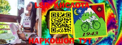 гидра Будённовск