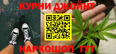 гидра Будённовск