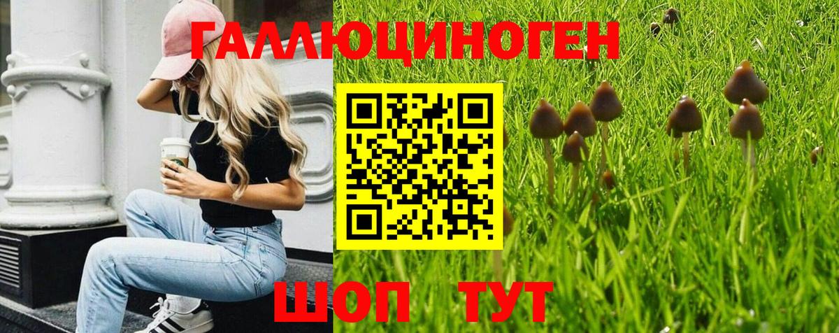 Псилоцибиновые грибы мицелий Иркутск